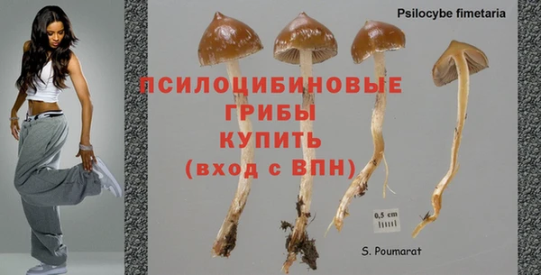 а пвп мука Армянск