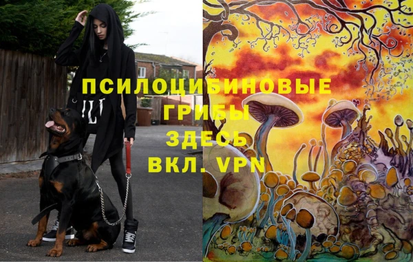а пвп мука Армянск