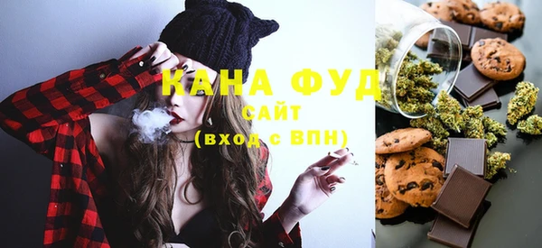 хмурый Алексин