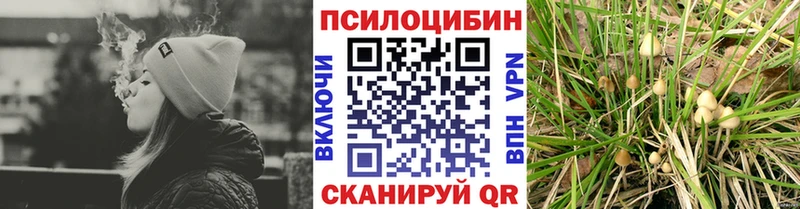 Псилоцибиновые грибы мухоморы  mega как зайти  Кубинка 